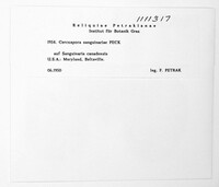 Image Associated With the Occurence